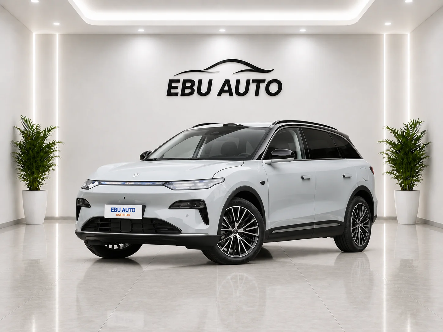 Leapmotor Leapmotor C11 range-extended electric vehicle front view